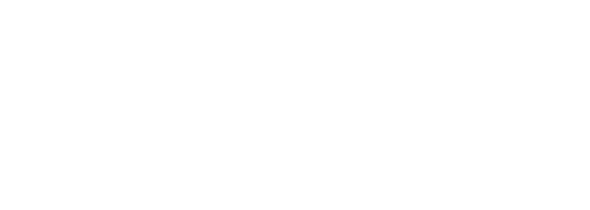 Spotify Logo White
